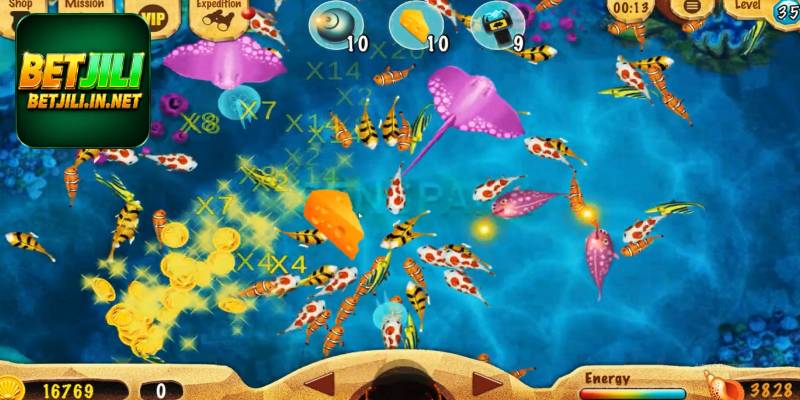 Fish-Hunter-2-2.